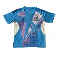 Mexico Goalkeeper Replica Away Shirt Copa America 2024 Short Sleeve
